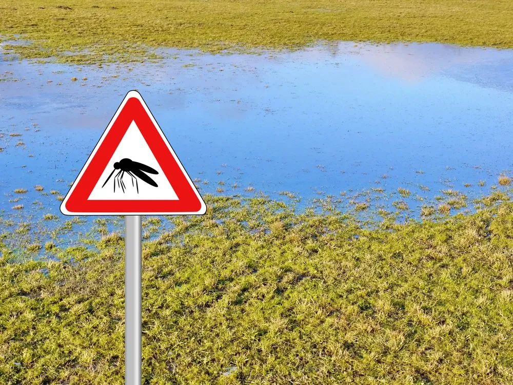 Professional lawn mowing service in Sarasota, FL by Lake & Lawn