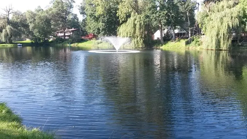 Affordable yard cleanup service in Chesterton, IN by Lake & Pond Biologists