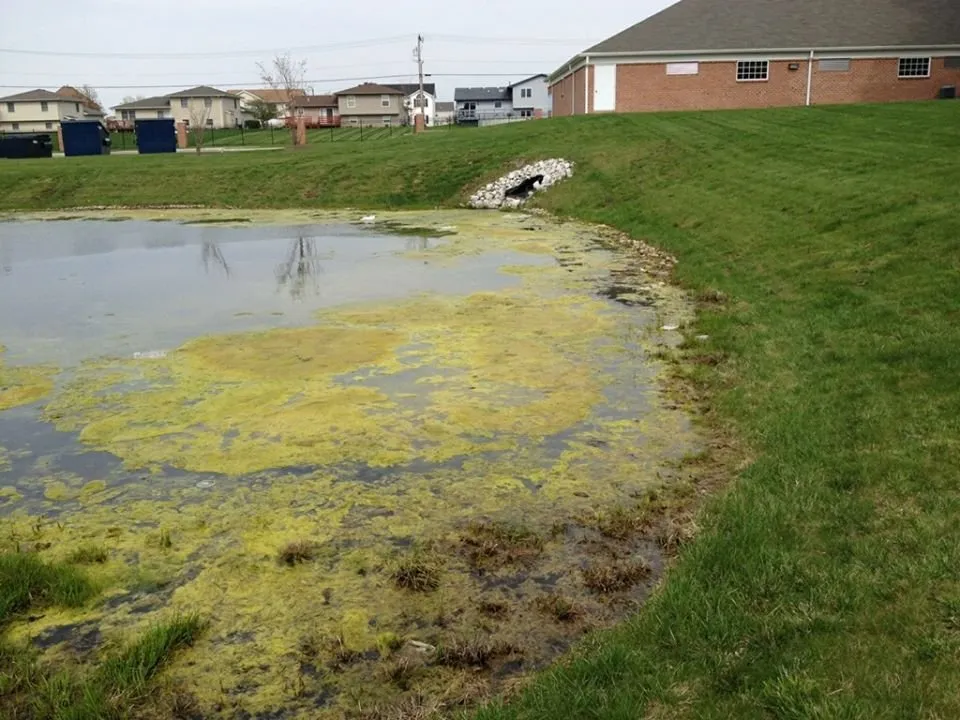 Expert landscape design in Chesterton, IN - Lake & Pond Biologists