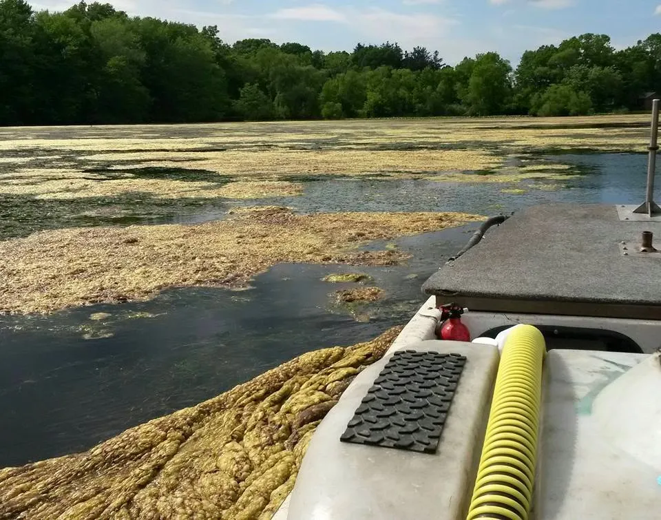 Professional residential landscaping experts serving Chesterton, IN - Lake & Pond Biologists