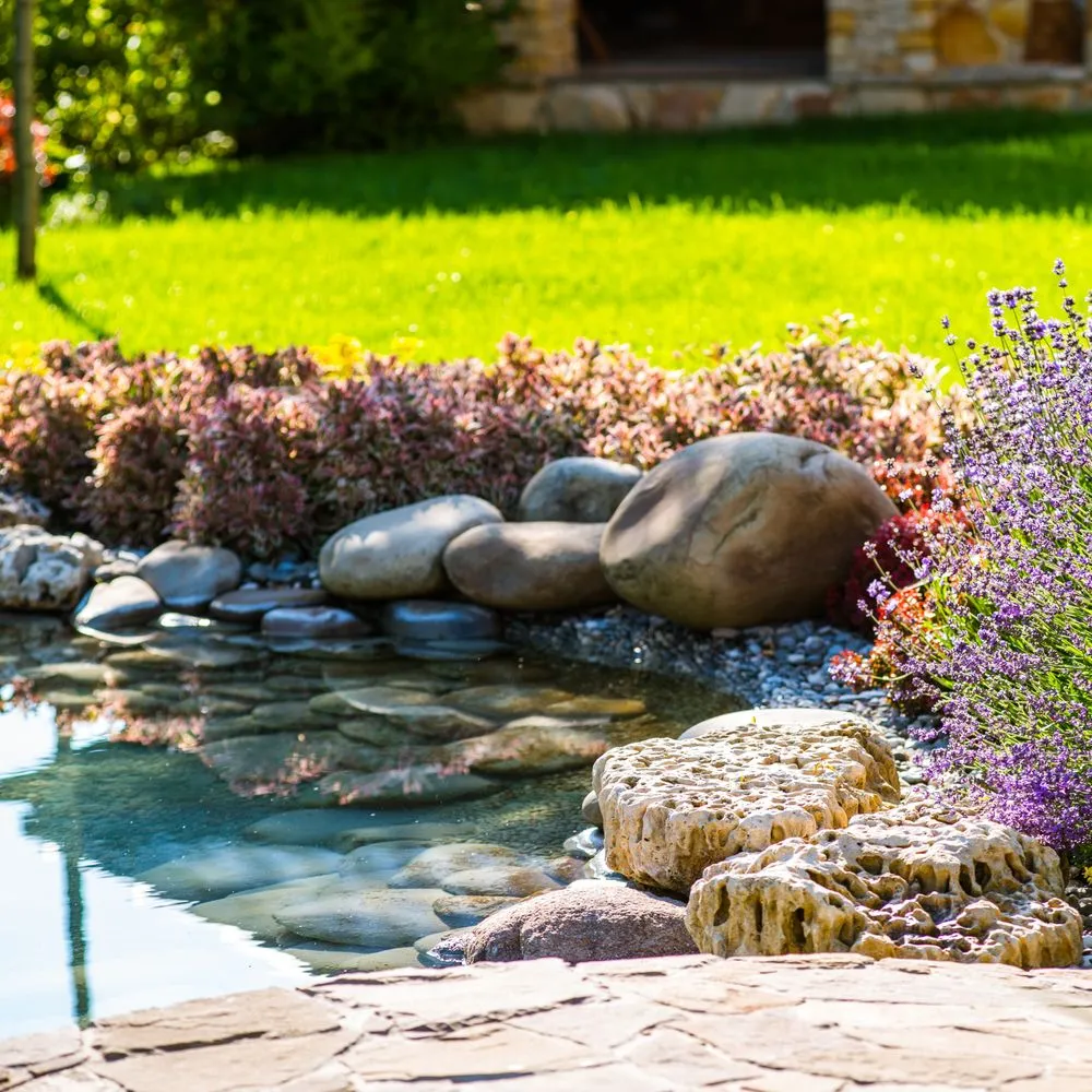 Local garden landscaping with custom design across New Port Richey, FL - Lake & Pond Maintenance