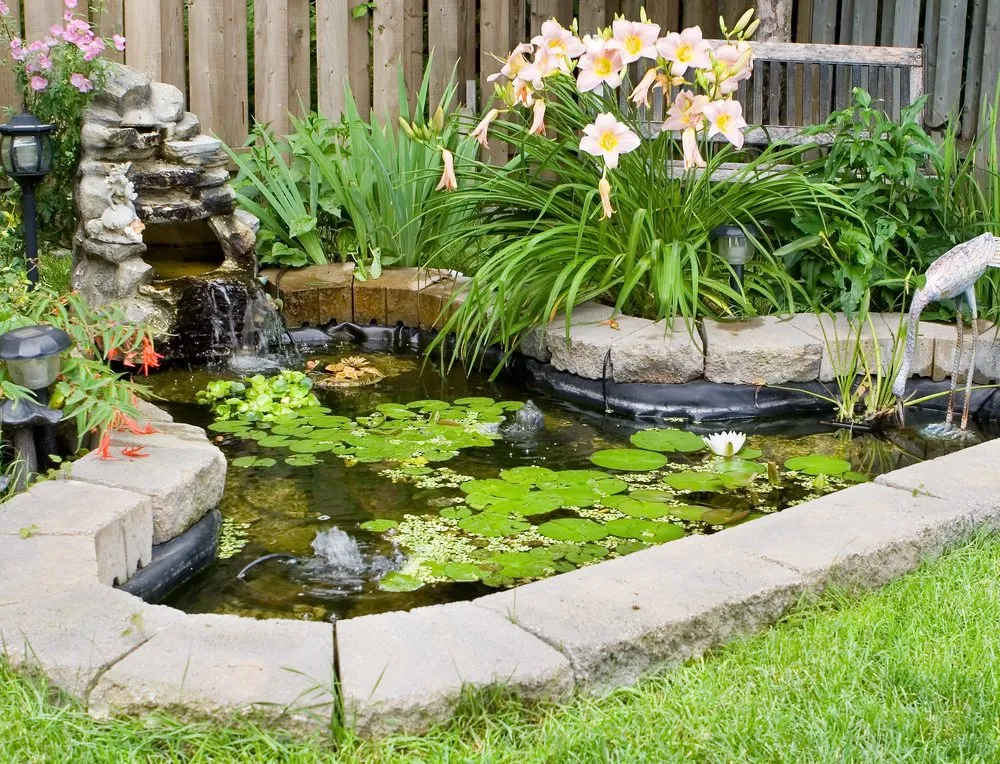 Trusted landscape design with custom design across New Port Richey, FL - Lake & Pond Maintenance