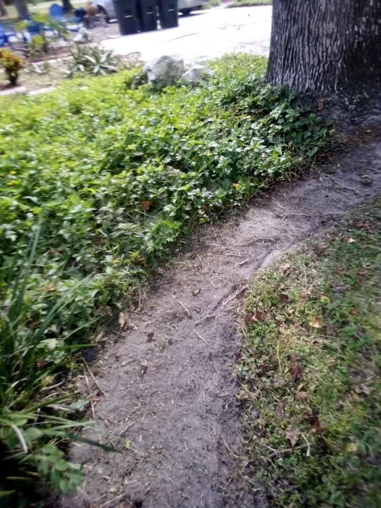 Expert garden landscaping experts serving Keystone Heights, FL - Lake Area Handyman Services & More