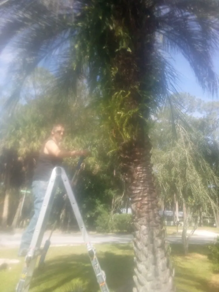 Expert yard maintenance in Keystone Heights, FL - Lake Area Handyman Services & More