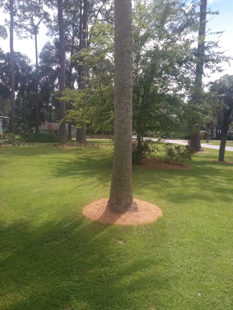 Trusted landscape installation for year-round maintenance across Keystone Heights, FL - Lake Area Handyman Services & More