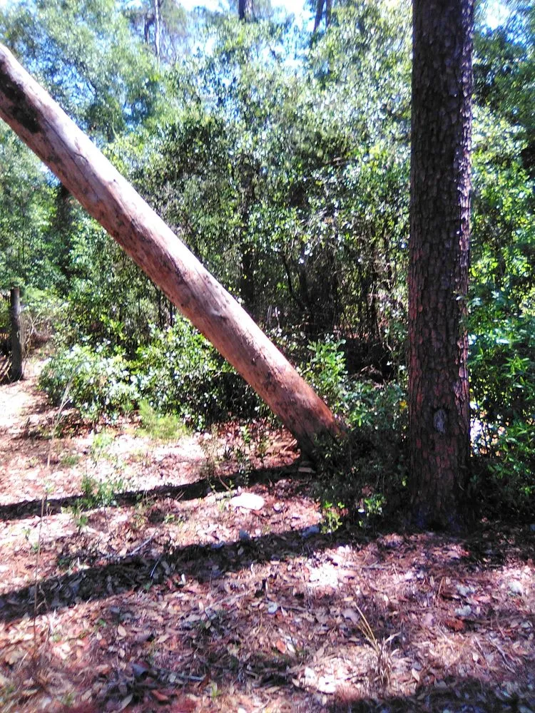 Expert garden landscaping experts serving Keystone Heights, FL - Lake Area Handyman Services & More