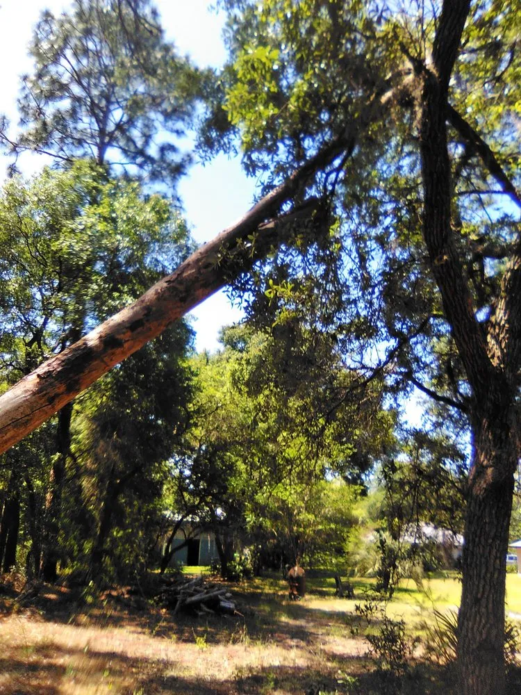 Trusted yard cleanup service in Keystone Heights, FL - Lake Area Handyman Services & More