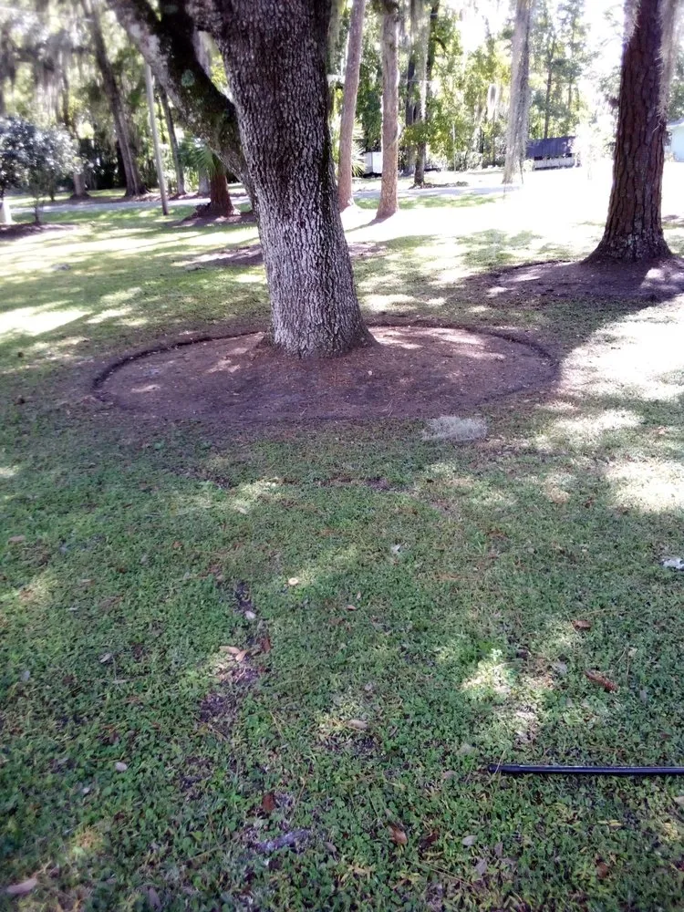 Trusted yard maintenance for year-round maintenance across Keystone Heights, FL - Lake Area Handyman Services & More