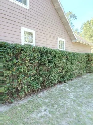 Lake Area Handyman Services & More