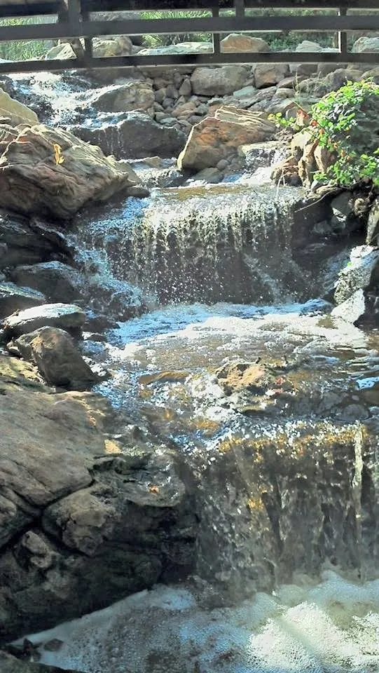 Custom garden landscaping experts serving Flower Mound, TX - Lake Cities Landscaping