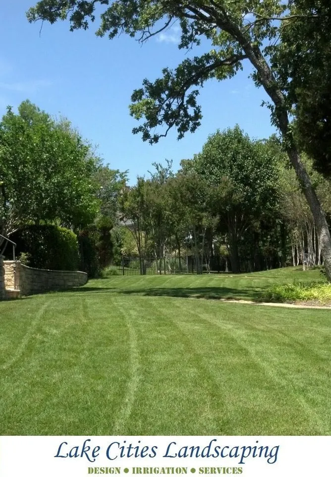Affordable yard maintenance experts serving Flower Mound, TX - Lake Cities Landscaping