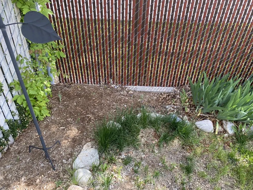 Local lawn care service experts serving Salt Lake City, UT - Lake City Lawn Maintenance