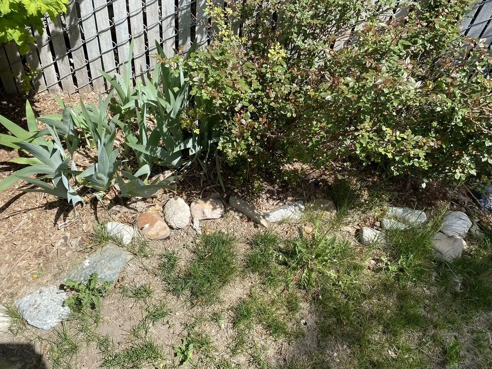 Reliable yard maintenance in Salt Lake City, UT by Lake City Lawn Maintenance