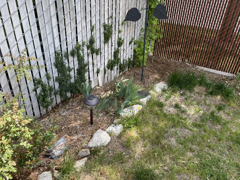 Custom outdoor landscaping for homes across Salt Lake City, UT - Lake City Lawn Maintenance