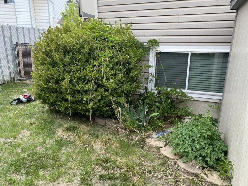 Custom landscape design for outdoor upgrades in Salt Lake City, UT by Lake City Lawn Maintenance