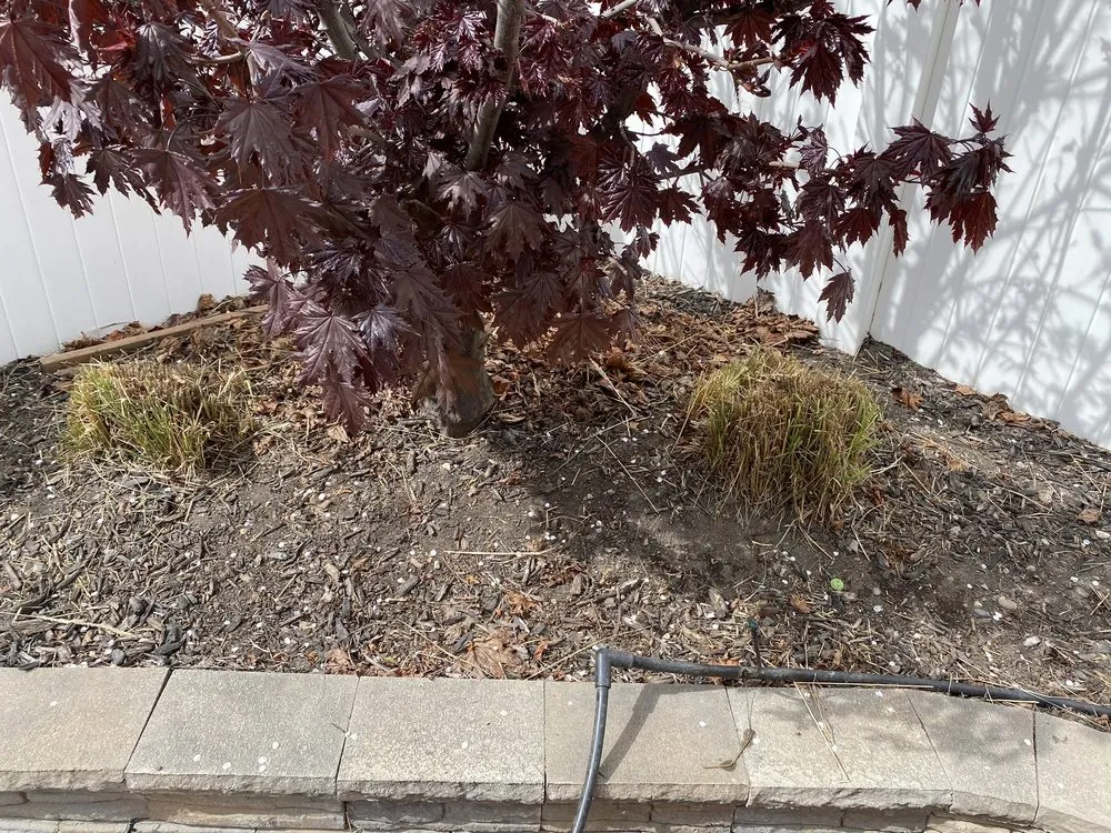 Reliable residential landscaping for outdoor upgrades in Salt Lake City, UT by Lake City Lawn Maintenance