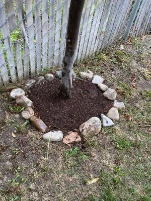 Lake City Lawn Maintenance Logo