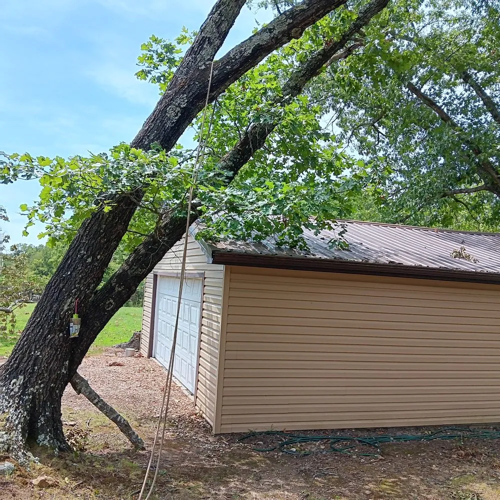 Custom yard cleanup service in Shell Knob, MO by Lake Coast Yard Customs