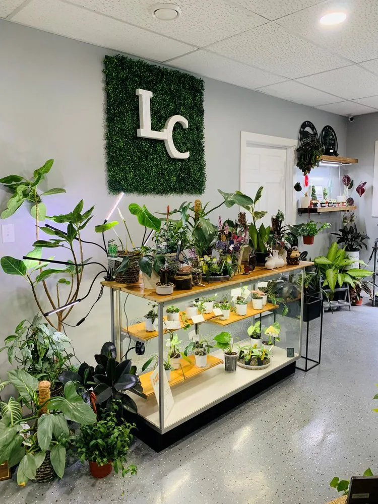 Affordable yard cleanup service for residential properties across Wolcottville, IN - Lake Country Landscaping and Garden Center