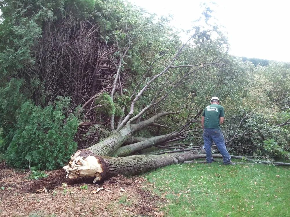 Affordable outdoor landscaping experts serving Delafield, WI - Lake Country Landscaping