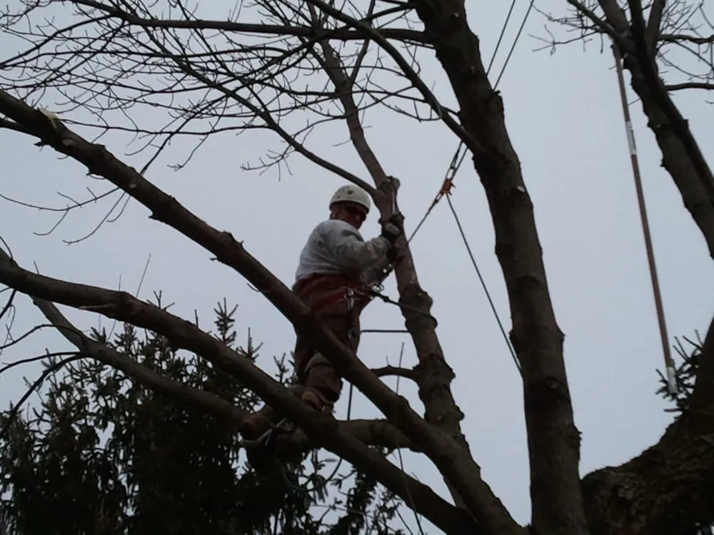 Trusted landscape installation experts serving Delafield, WI - Lake Country Landscaping