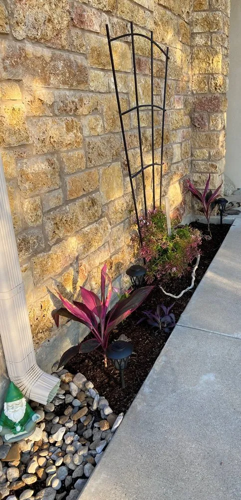 Expert yard cleanup service experts serving Temple, TX - Lake Country Services