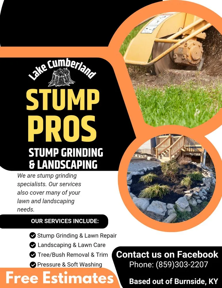 Professional yard cleanup service for year-round maintenance in Burnside, KY by Lake Cumberland Pros