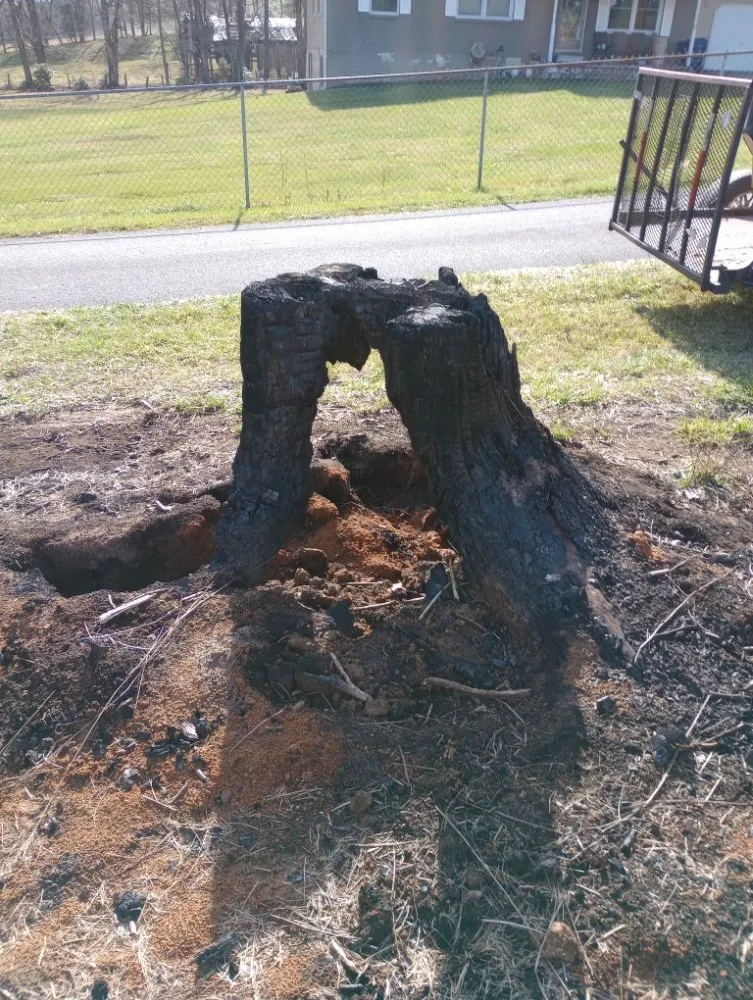 Expert outdoor landscaping for outdoor upgrades across Burnside, KY - Lake Cumberland Pros