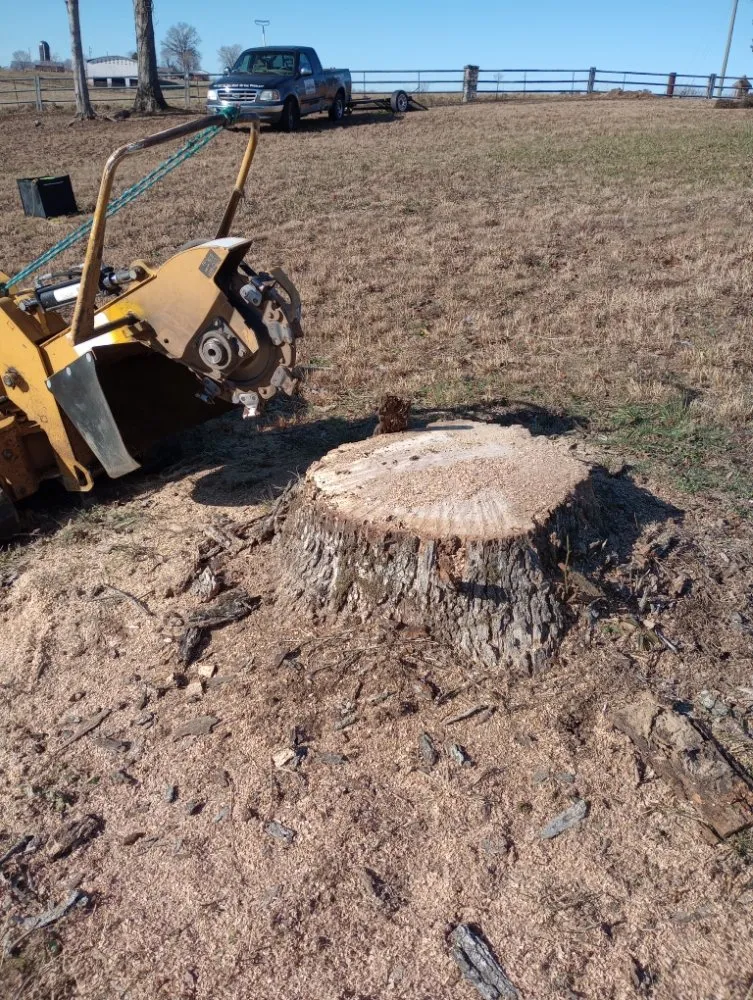 Expert outdoor landscaping for beautiful yards across Burnside, KY - Lake Cumberland Pros