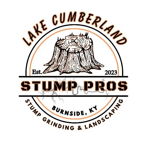 Local yard cleanup service in Burnside, KY by Lake Cumberland Pros