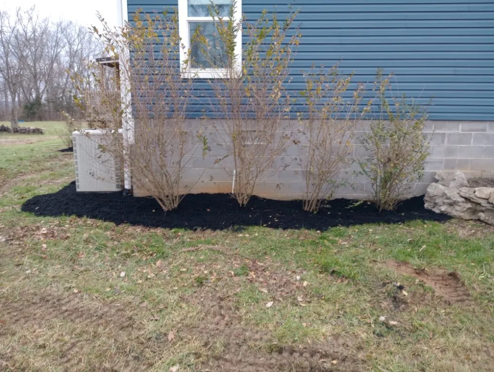 Top-rated landscape design in Burnside, KY by Lake Cumberland Pros