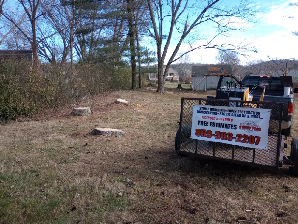 Professional residential landscaping with custom design in Burnside, KY by Lake Cumberland Pros