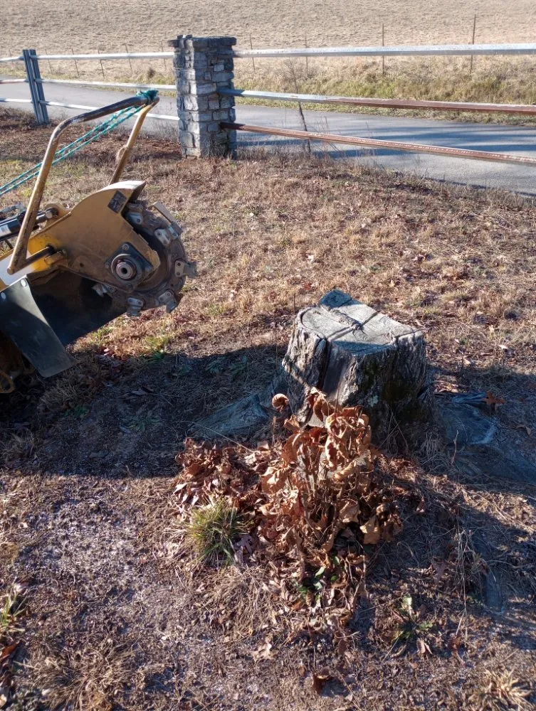 Professional lawn mowing service in Burnside, KY - Lake Cumberland Pros