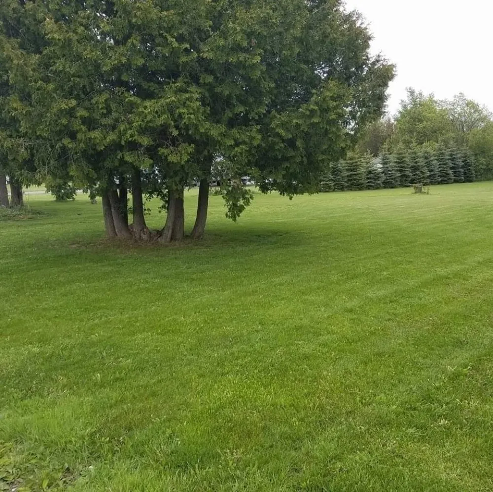 Professional outdoor landscaping for beautiful yards across Watertown, NY - Lake Effect Lawn Care