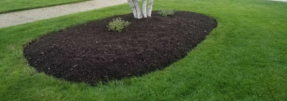 Top-rated garden landscaping experts serving Milwaukee, WI - Lake Effect Property Solutions