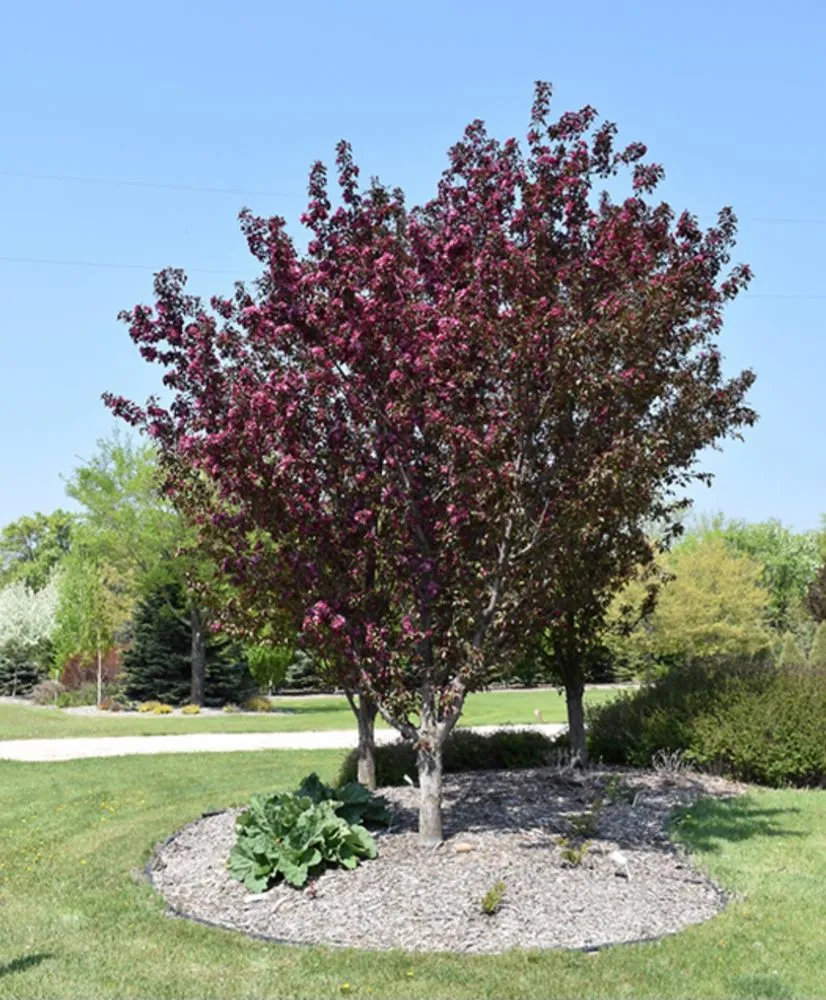 Reliable lawn mowing service experts serving Milwaukee, WI - Lake Effect Property Solutions