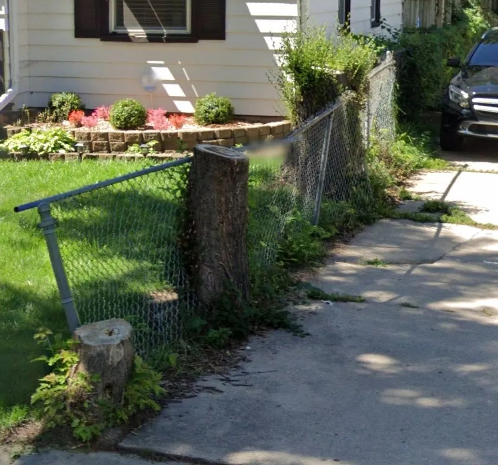 Top-rated yard cleanup service experts serving Milwaukee, WI - Lake Effect Property Solutions