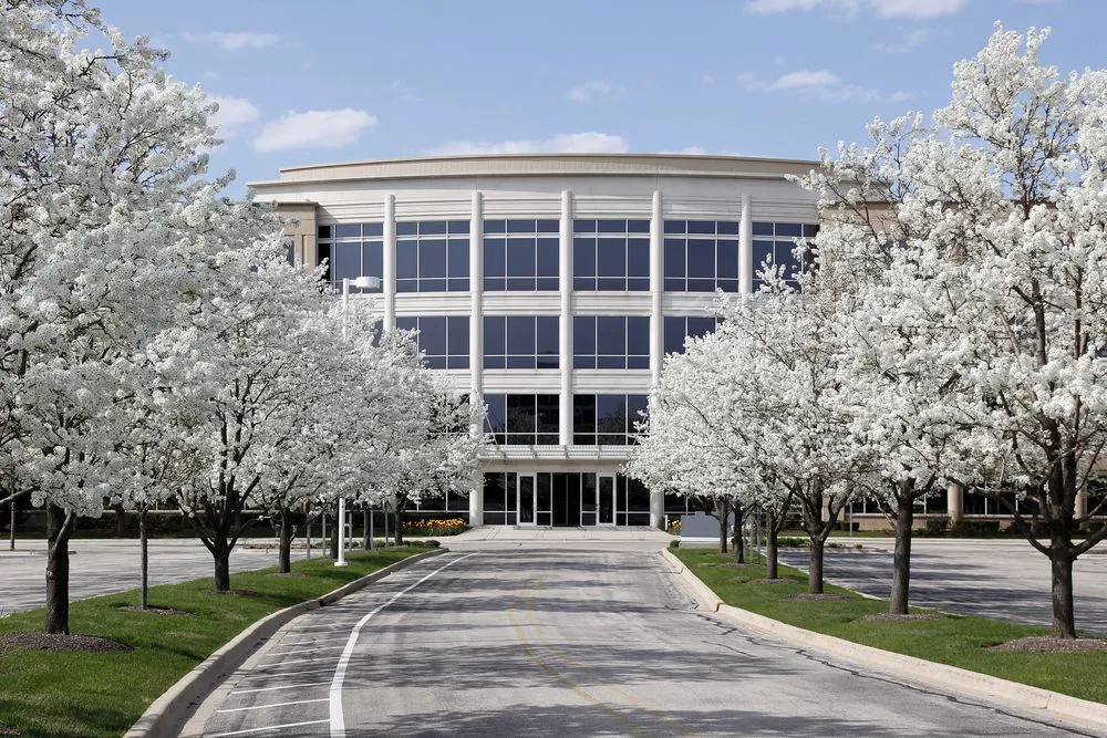 Expert garden landscaping for year-round maintenance across Sandusky, OH - Lake Erie Design & Landscaping