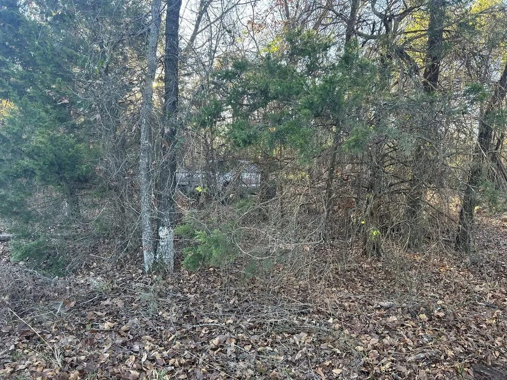 Professional landscape installation for homes in Checotah, OK by Lake Eufaula Land Services