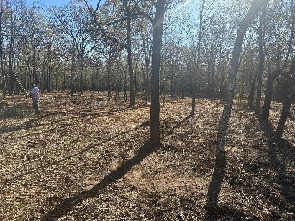 Reliable landscape installation for beautiful yards across Checotah, OK - Lake Eufaula Land Services