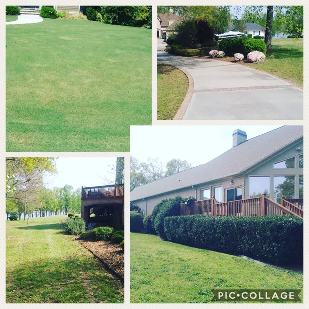 Affordable yard cleanup service in Townville, SC by Lake Hartwell Handy Man