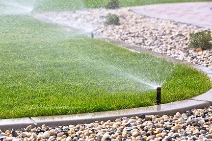 Professional outdoor landscaping in Lake Havasu City, AZ - Lake Havasu Lawn Service