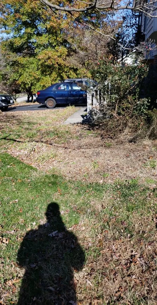 Professional yard cleanup service for outdoor upgrades in Moneta, VA by Lake Haven Lawns