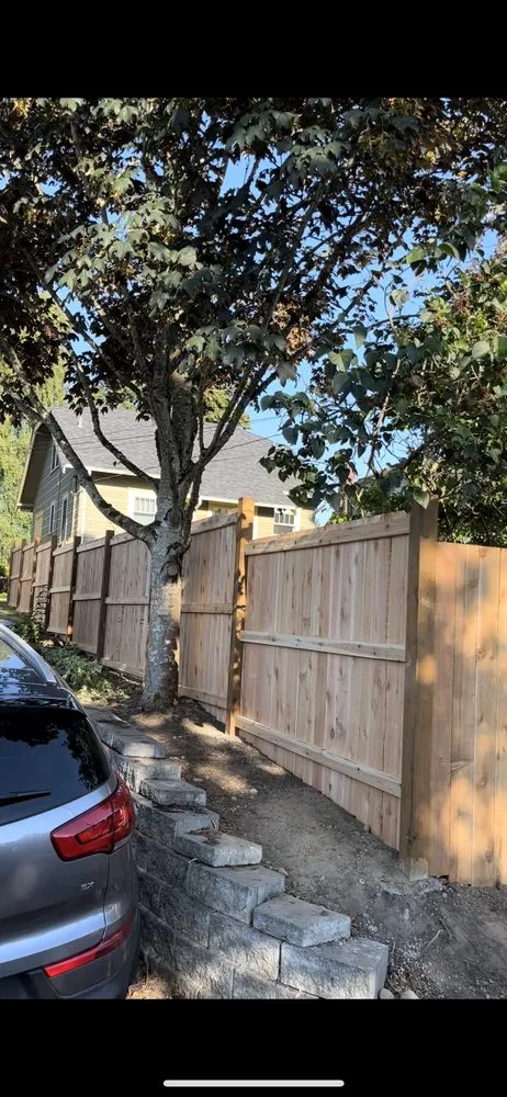 Top-rated landscape installation in Bellevue, WA - Lake Hills BC Landscaping