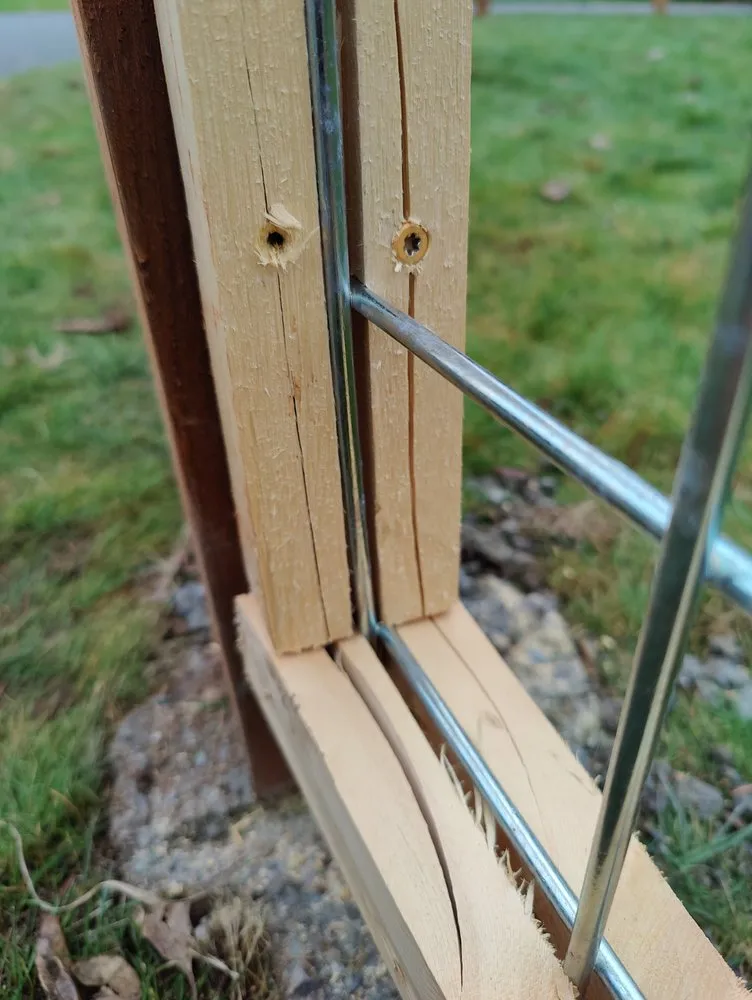 Top-rated yard maintenance in Bellevue, WA - Lake Hills BC Landscaping