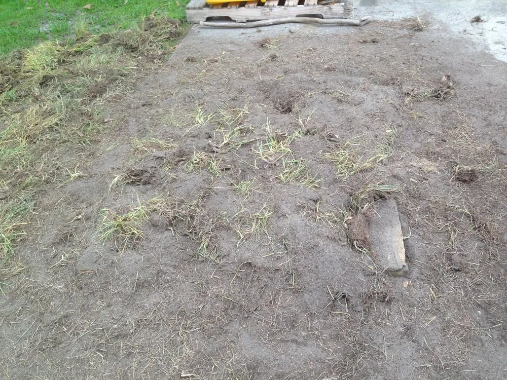 Professional lawn care service experts serving Mount Dora, FL - Lake Jem Farms