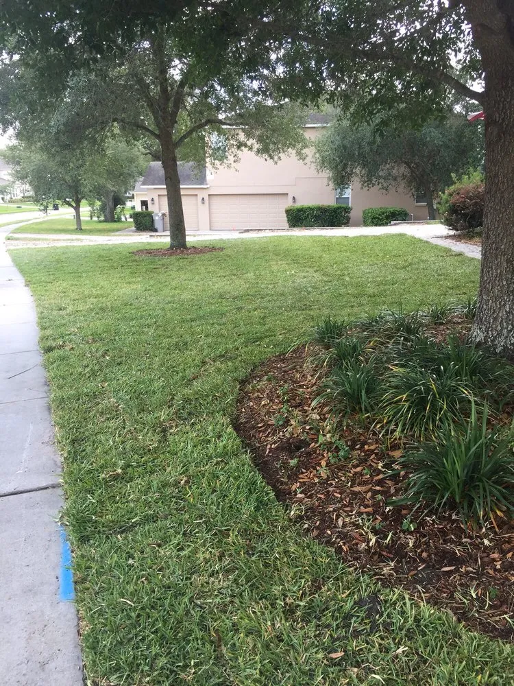 Expert yard cleanup service experts serving Mount Dora, FL - Lake Jem Farms