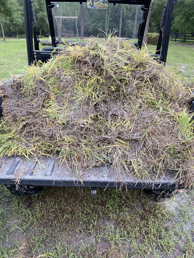 Trusted yard maintenance in Mount Dora, FL - Lake Jem Farms