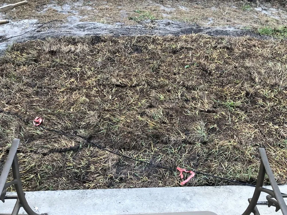 Local landscape installation in Mount Dora, FL by Lake Jem Farms