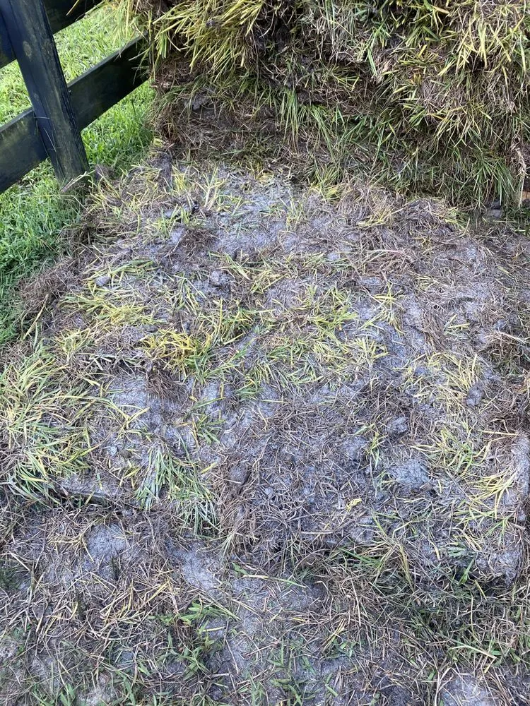 Professional outdoor landscaping in Mount Dora, FL by Lake Jem Farms